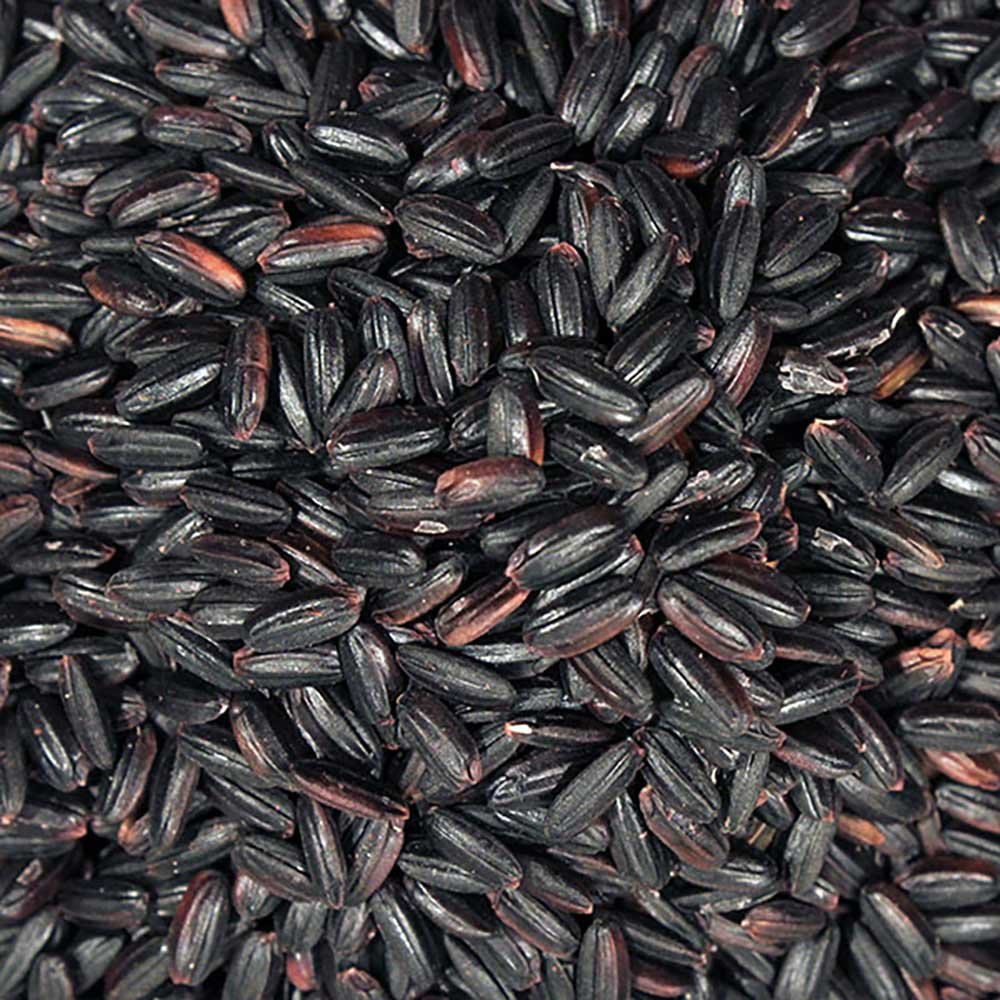 Infinity Foods Bulk Organic Black Rice