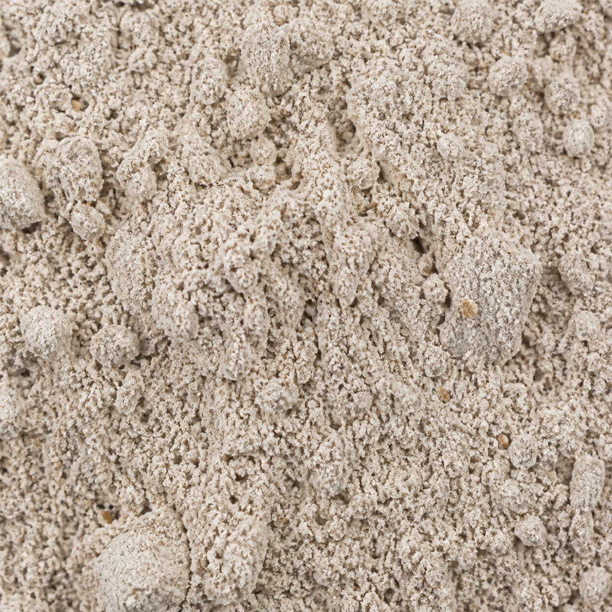 Wholemeal rye flour macro