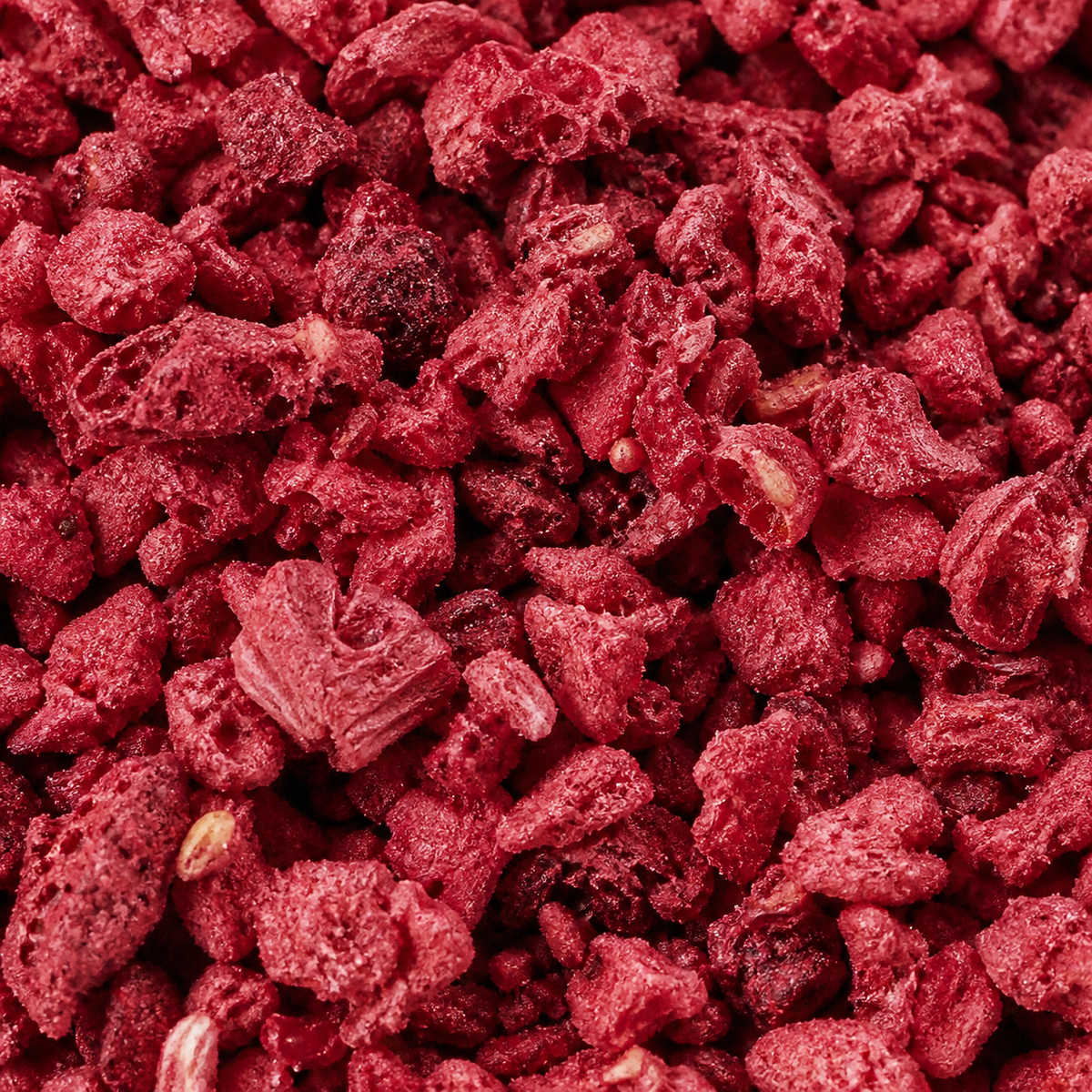 Freeze Dried Raspberry Nibs — extreme close-up