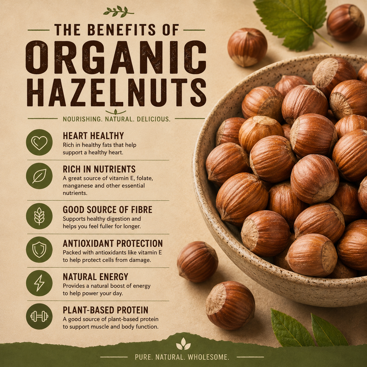 Infographic on the benefits of organic hazelnuts with a bowl of hazelnuts and text.