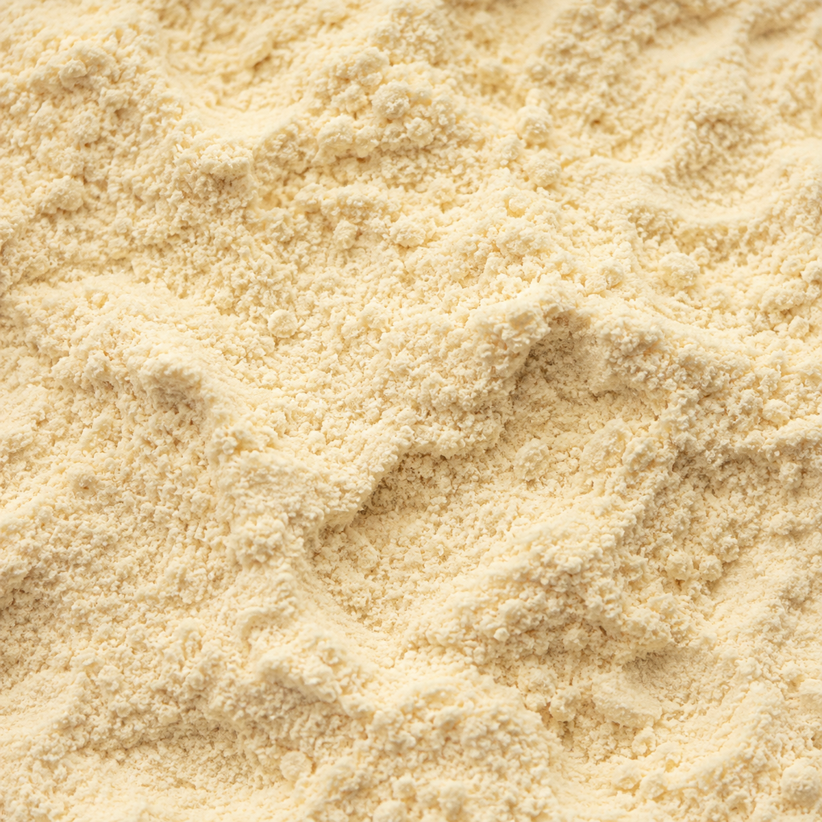 Organic chickpea flour extreme close-up