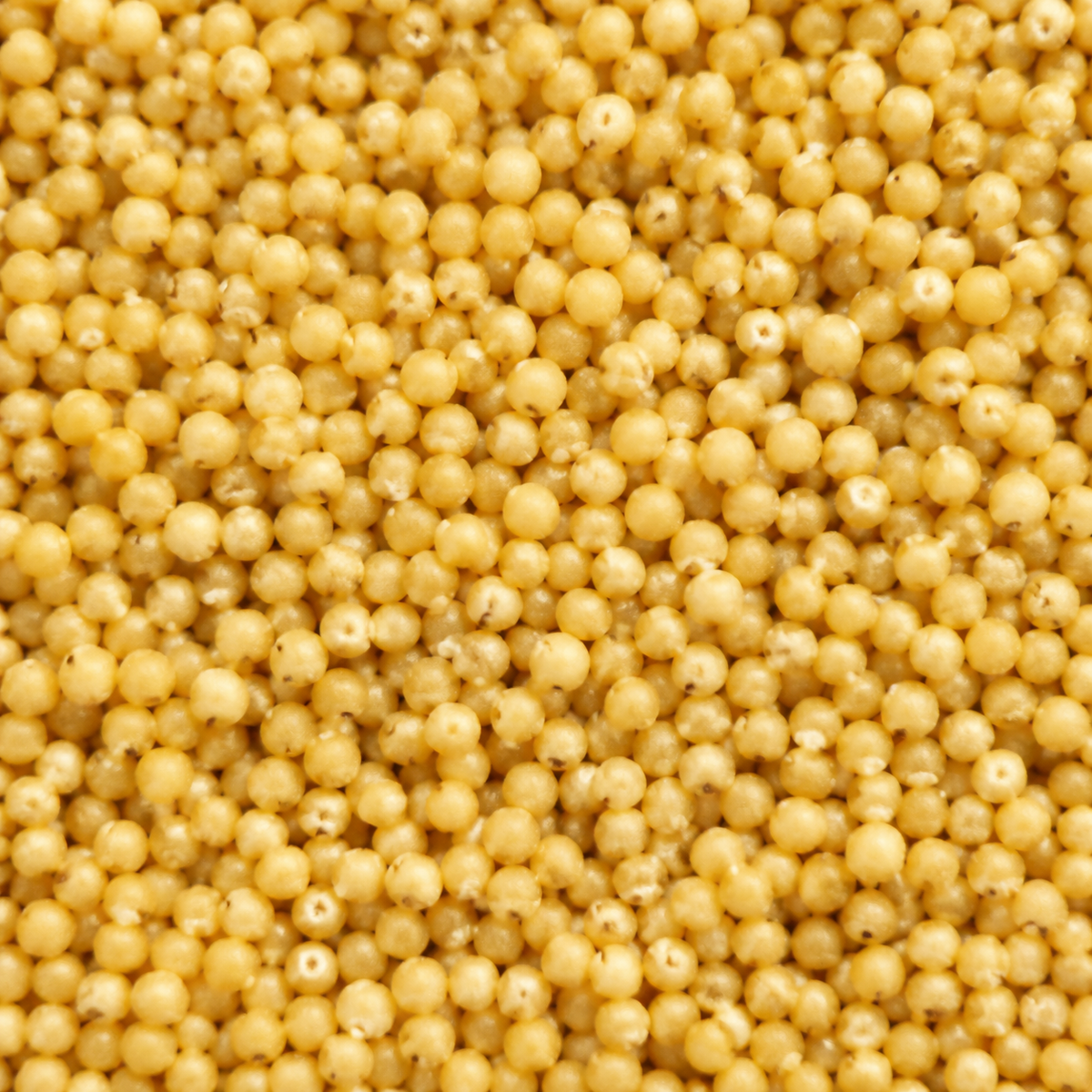 infinity foods bulk organic millet — extreme macro hero