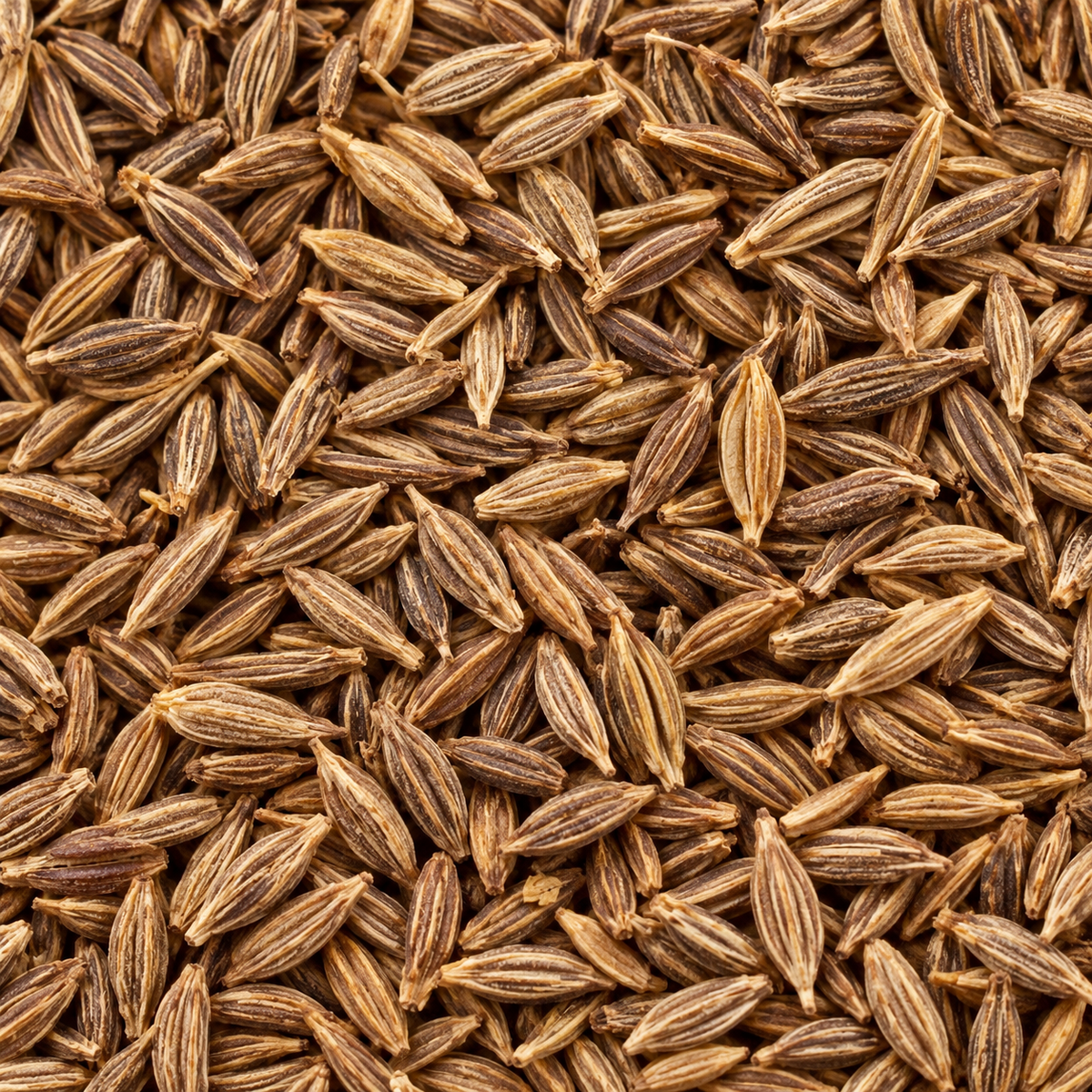 Infinity Foods Organic Cumin Seed close-up