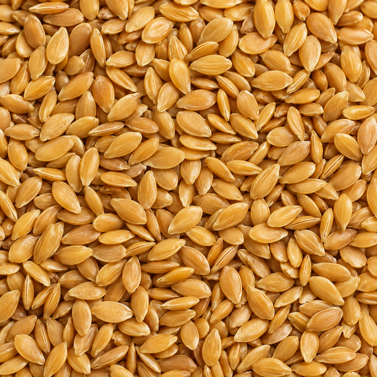 Infinity Foods Organic Golden Linseed — close-up