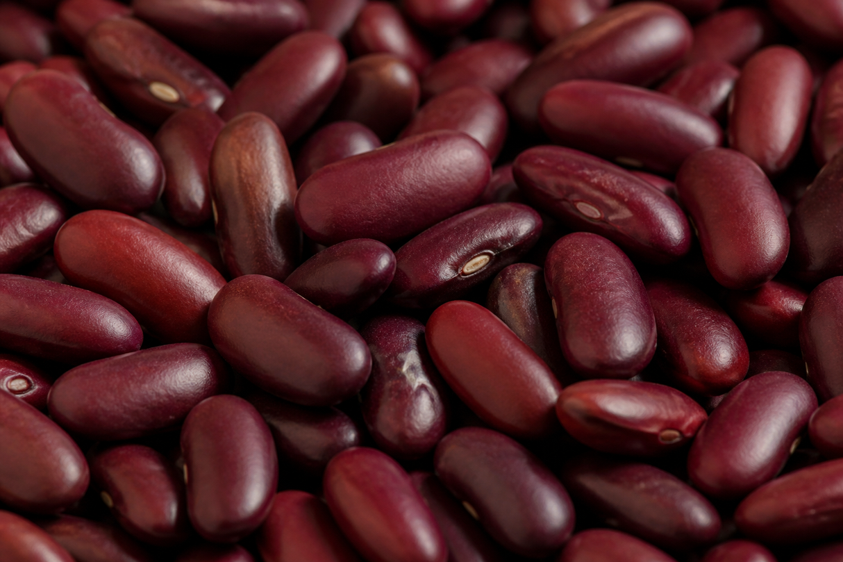 Infinity Foods Organic Red Kidney Beans extreme close-up