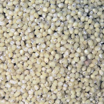 Organic Millet
