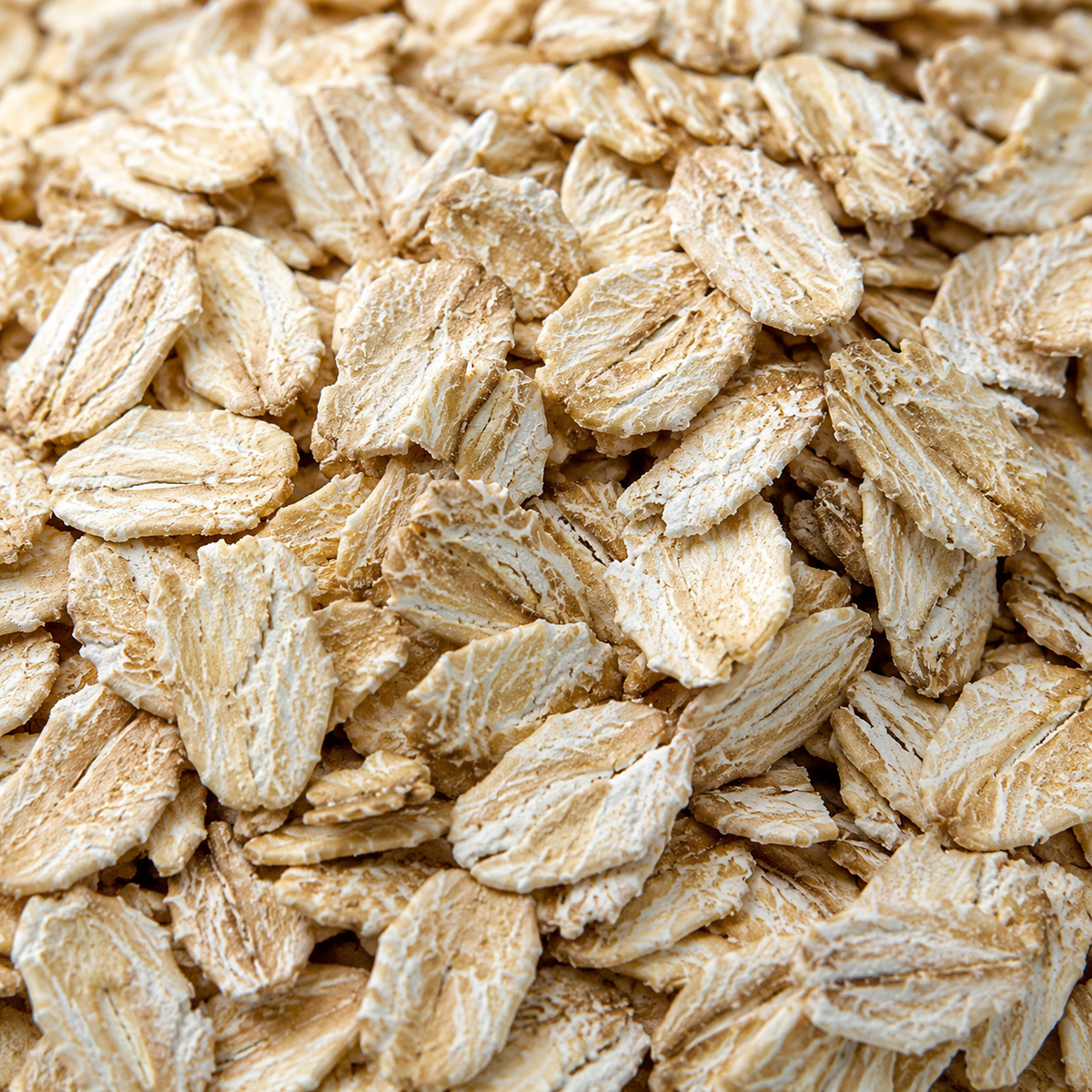 Organic barley flakes extreme close-up