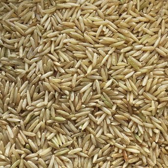Organic brown rice extreme close-up