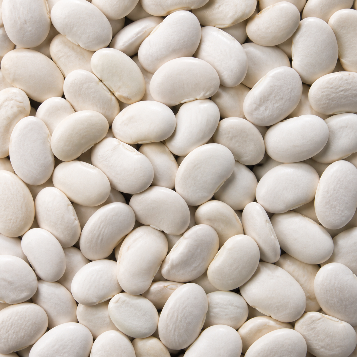 Organic butter beans extreme close-up
