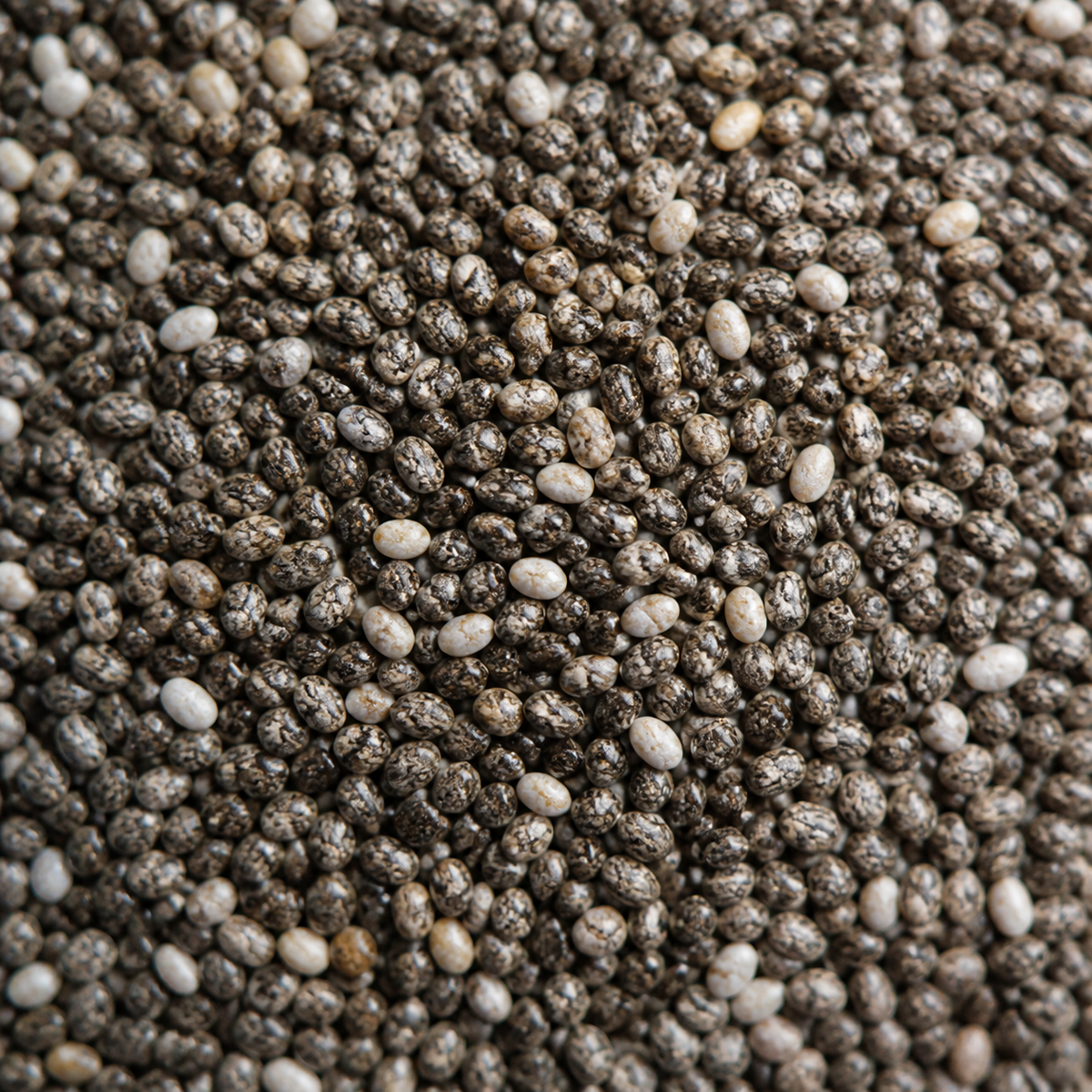 Macro detail of organic chia seeds