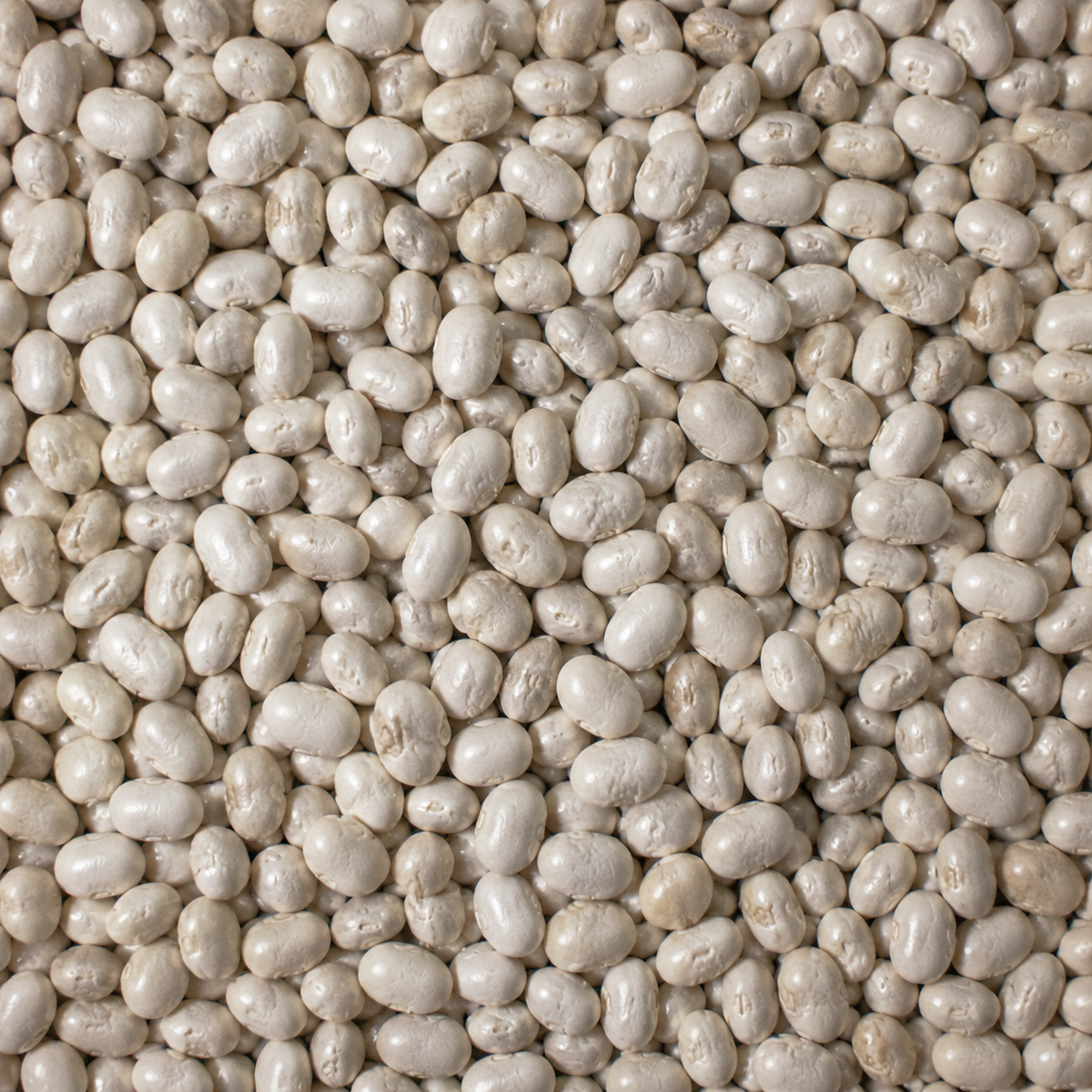 Extreme close-up of organic dry haricot beans