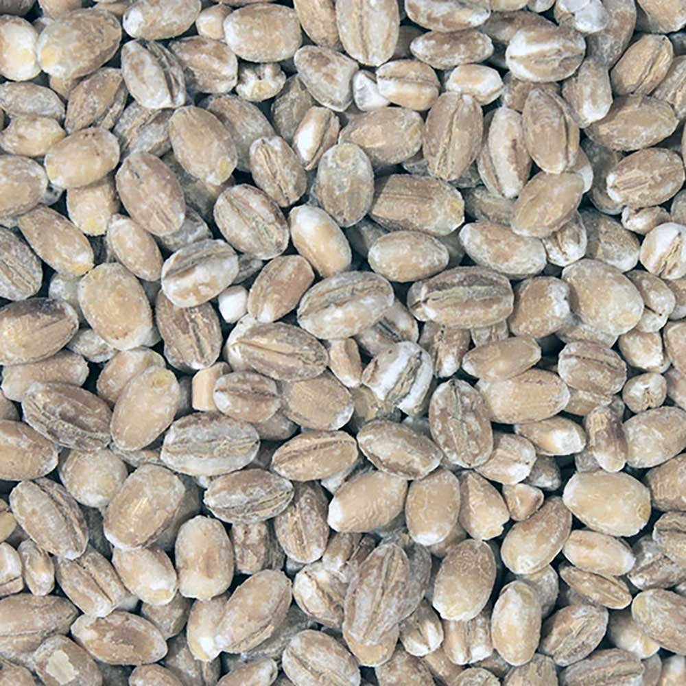 Infinity Foods Bulk Organic Pot Barley