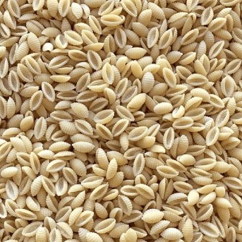 Organic Malloreddos Small Shell Pasta