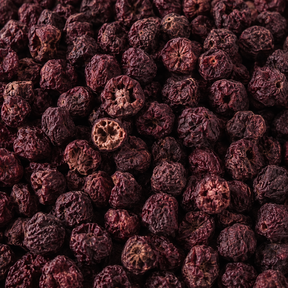 Freeze Dried Cranberries – extreme macro hero