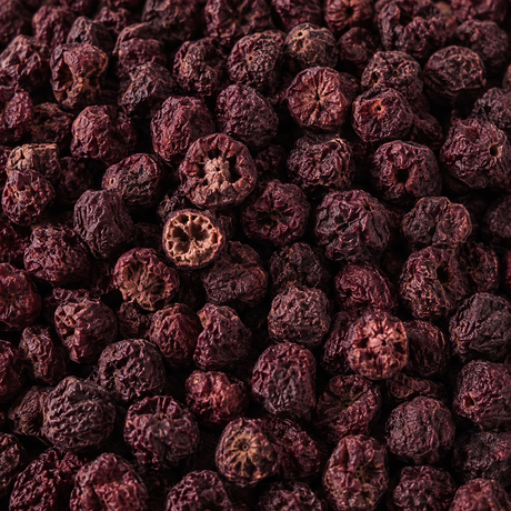 Freeze Dried Cranberries – extreme macro hero