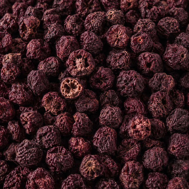 Freeze Dried Cranberries – extreme macro hero