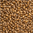 Infinity Foods Organic Wheat Grain product close-up