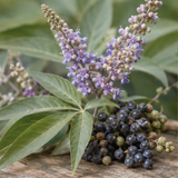 SHS Agnus Castus Range product hero