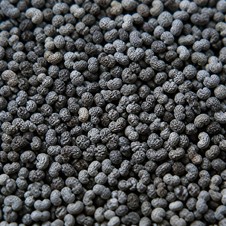 Infinity Foods Bulk Organic Poppy Seeds ingredient close-up