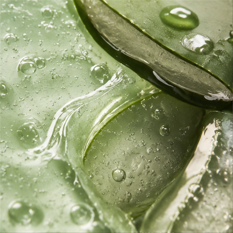 Faith in Nature Bulk Aloe Vera Body Wash 5L product close-up