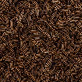 Infinity Foods Organic Caraway Seeds product close-up