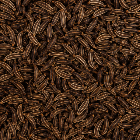 Infinity Foods Organic Caraway Seeds product close-up