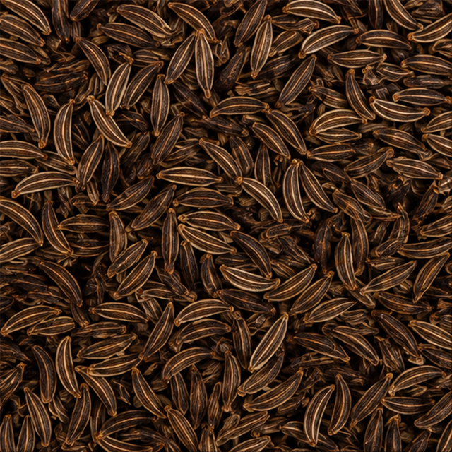 Infinity Foods Organic Caraway Seeds product close-up