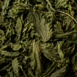 Clipper Organic Nettle Tea ingredient close-up