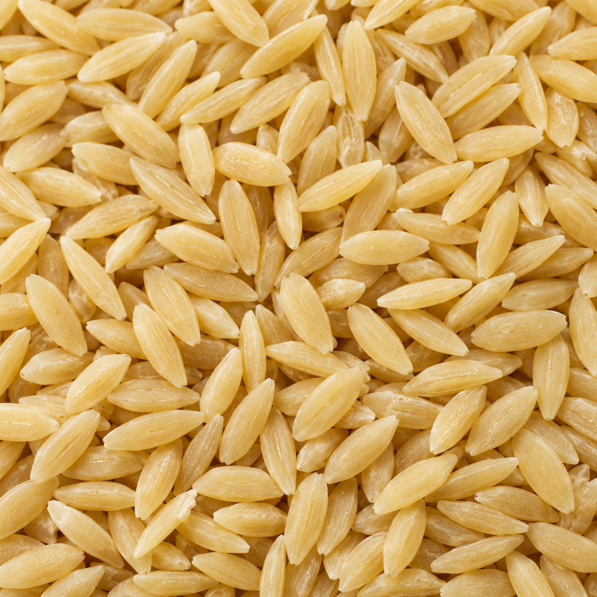 Infinity Foods Organic Orzo ingredient close-up