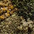 SHS Digestive Range botanical close-up