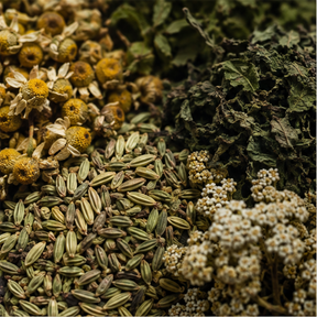 SHS Digestive Range botanical close-up