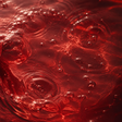 Organic red wine vinegar macro