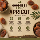 Organic Dried Apricots