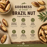 Advertisement for organic Brazil nuts with health benefits and branding elements.