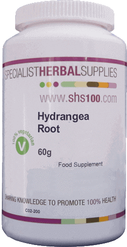 SHS Hydrangea Root