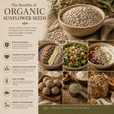 Promotional image about the benefits of organic sunflower seeds with text and images of seeds and dishes.