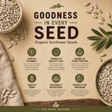 Advertisement for organic sunflower seeds with health benefits and branding.