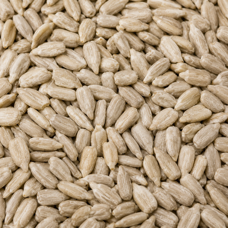 Close-up of a pile of light brown seeds