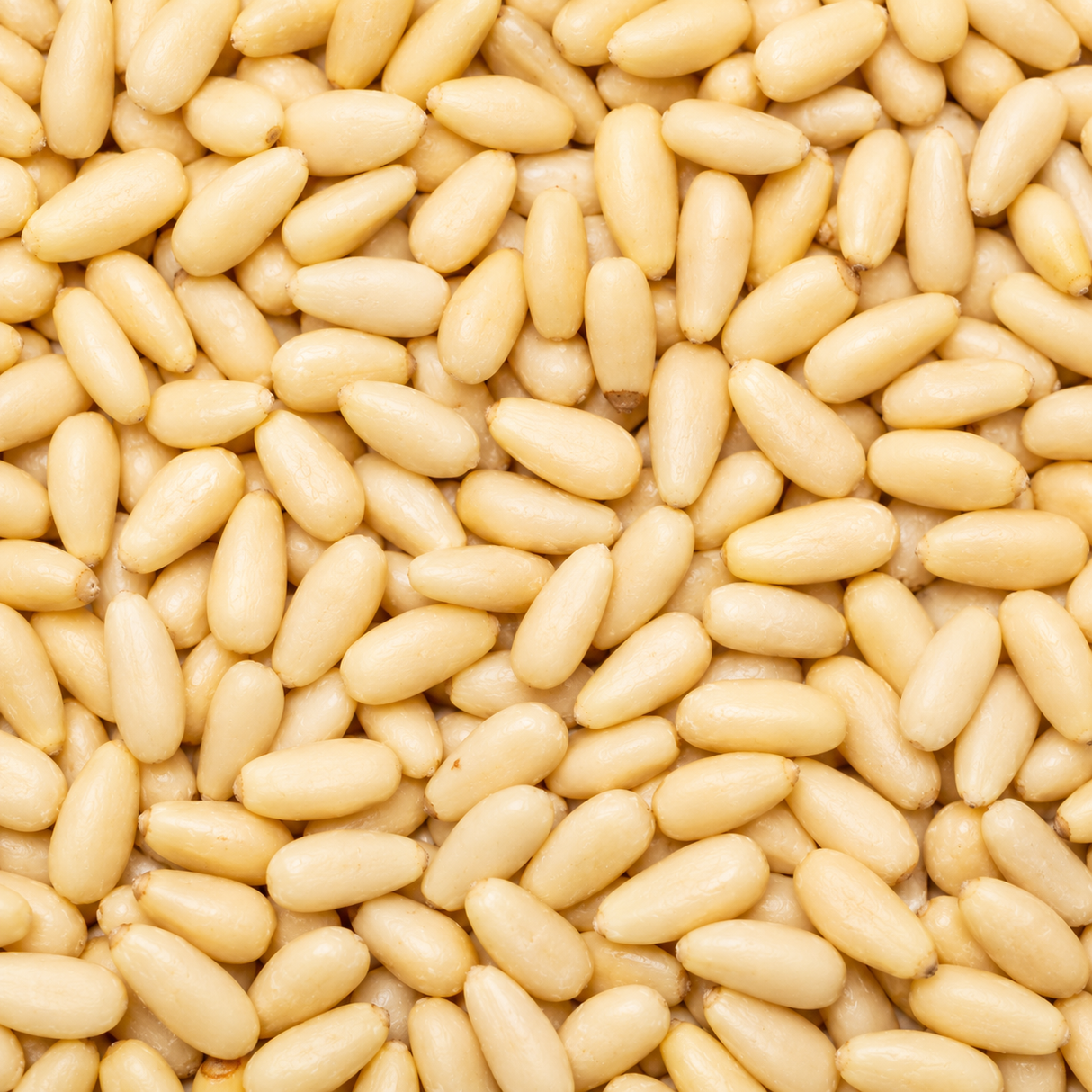 Close-up of pine nuts
