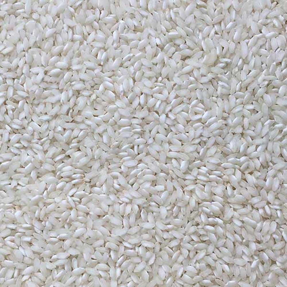 Extreme close-up of organic arborio rice