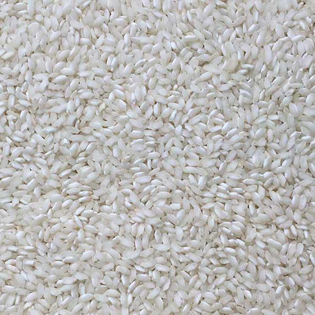 Extreme close-up of organic arborio rice
