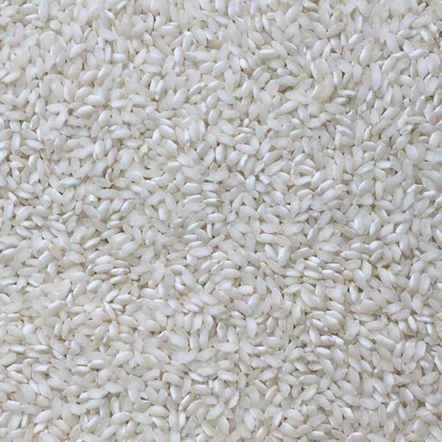 Extreme close-up of organic arborio rice