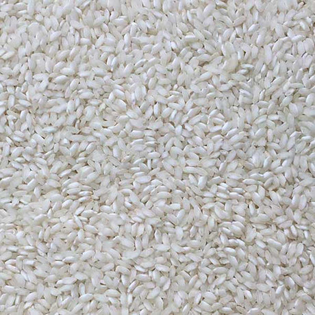 Infinity Foods Bulk Organic Arborio Rice