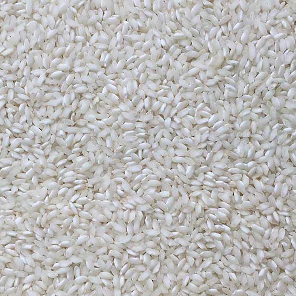 Arborio Rice