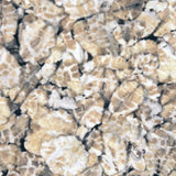 Organic Barley Flakes