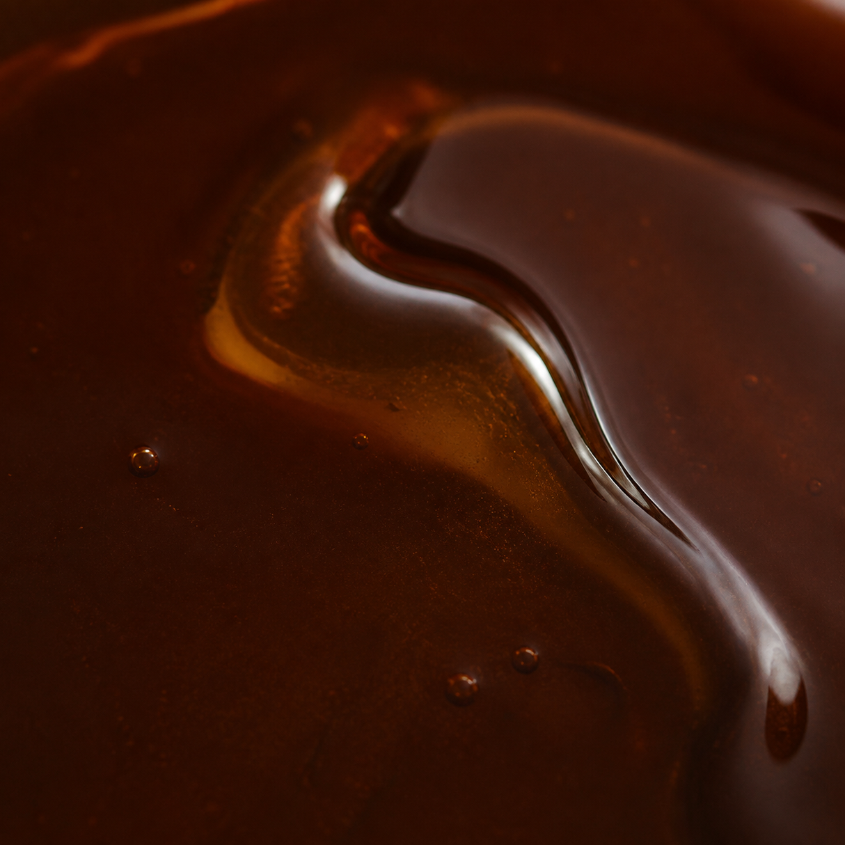 Extreme close-up of Biona organic dark agave syrup