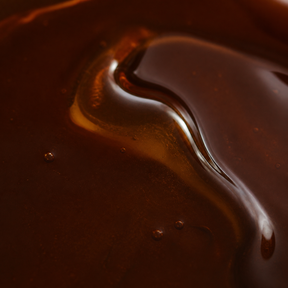 Extreme close-up of Biona organic dark agave syrup