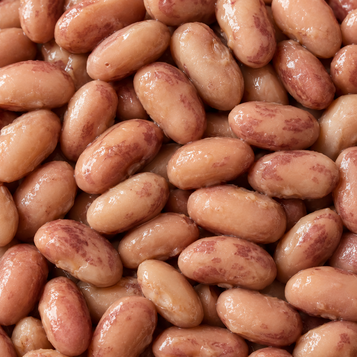 Extreme close-up of cooked organic borlotti beans
