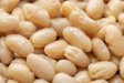 Biona Organic Cannellini Beans extreme close-up