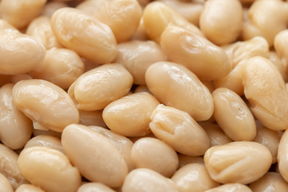Biona Organic Cannellini Beans extreme close-up